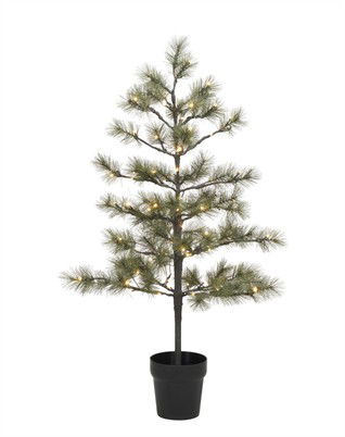 Peuce LED  Juletræ - 125 Cm